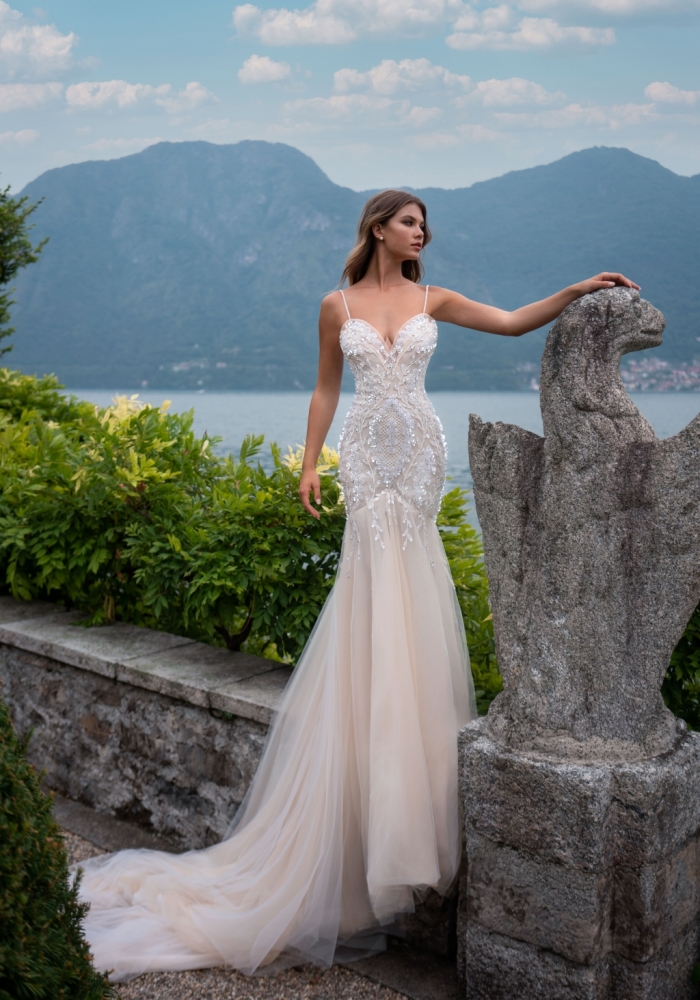 Lavinya wedding dress